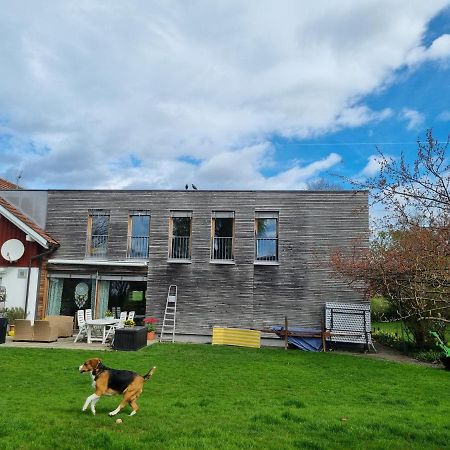 Appartement Hard Bodensee Экстерьер фото